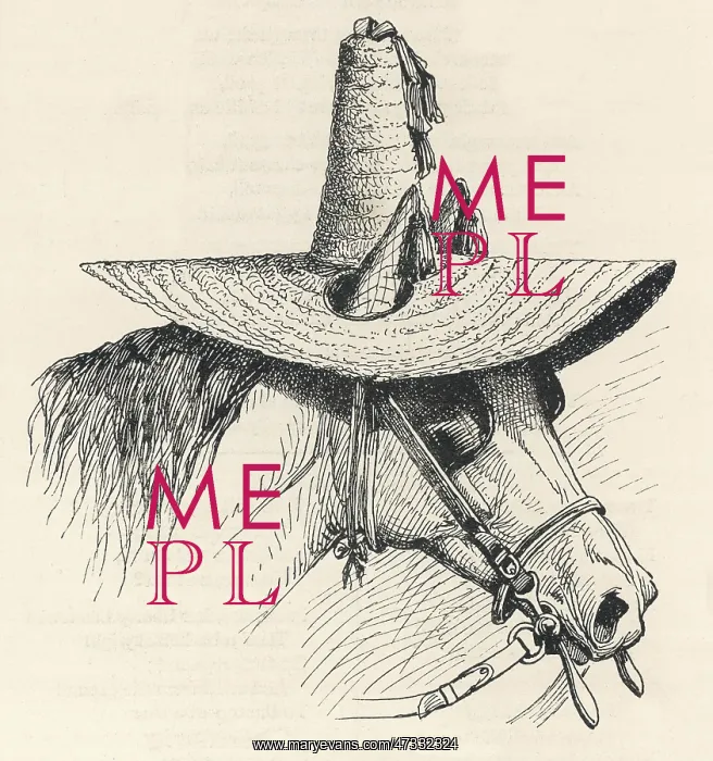 : HORSE IN SUNHAT 1896 : HORSE IN SUNHAT 1896