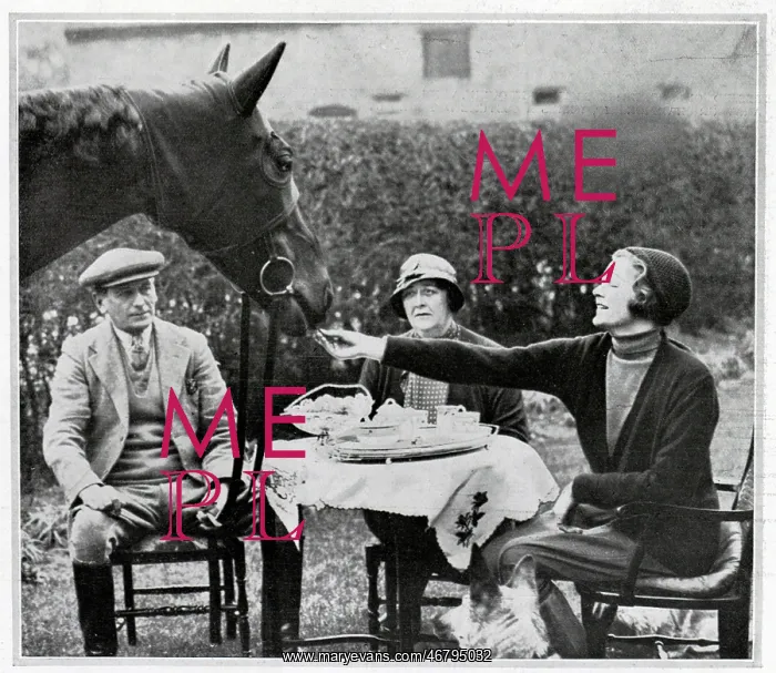 : Horse at a Tea Party : Horse at a Tea Party