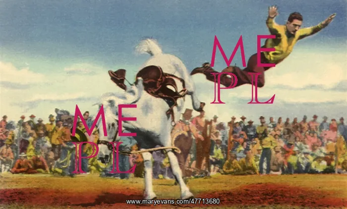  : Horse Throws Cowboy