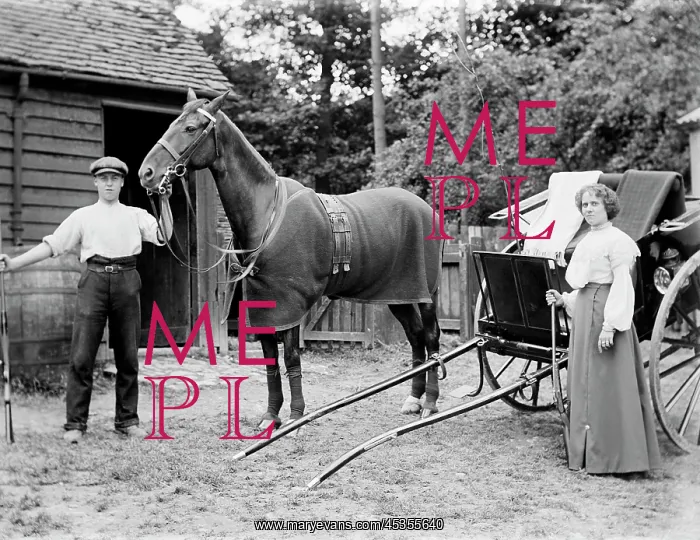 : Horse and Trap : Horse and Trap
