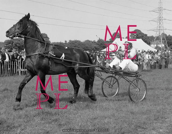 : Horse trap and jockey : Horse trap and jockey