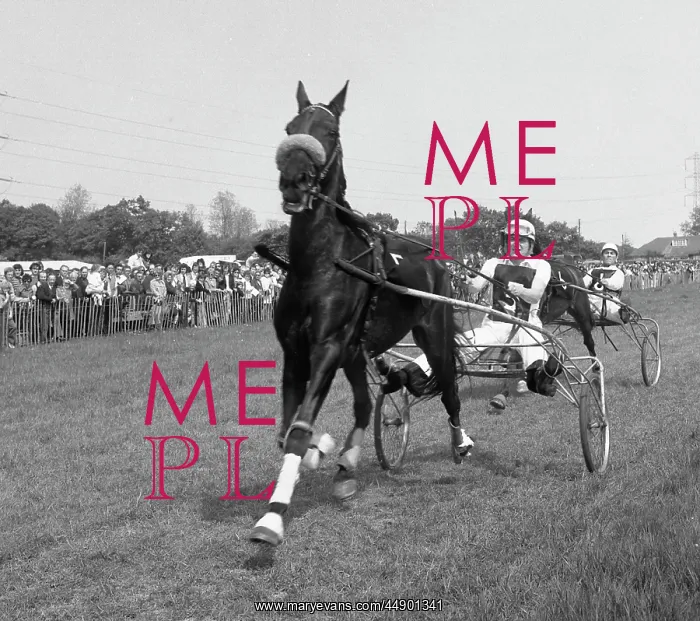 : Horse traps and jockeys : Horse traps and jockeys