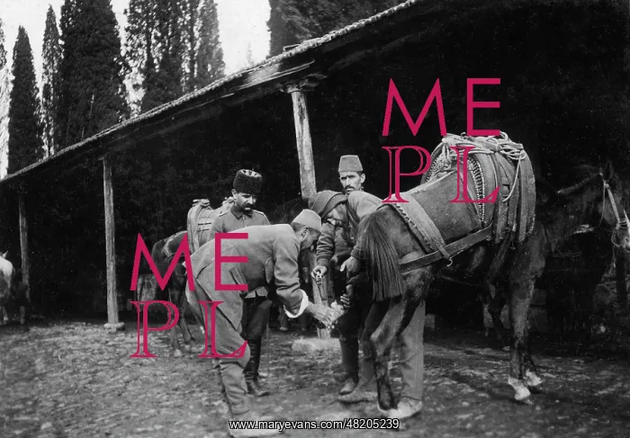 : Horse of the Turkish troops in World War I : Horse of the Turkish troops in World War I