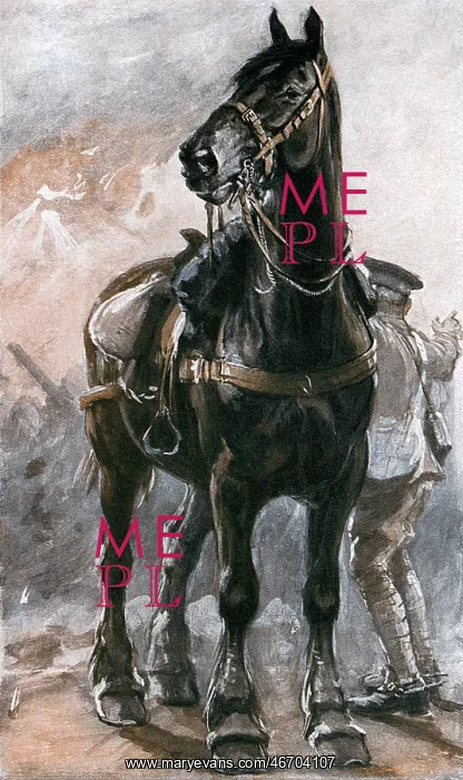 : The Horse in War by Philip Dadd : The Horse in War by Philip Dadd