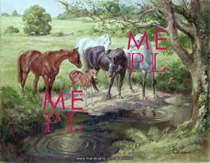  : A Horse to Water horses at waters edge