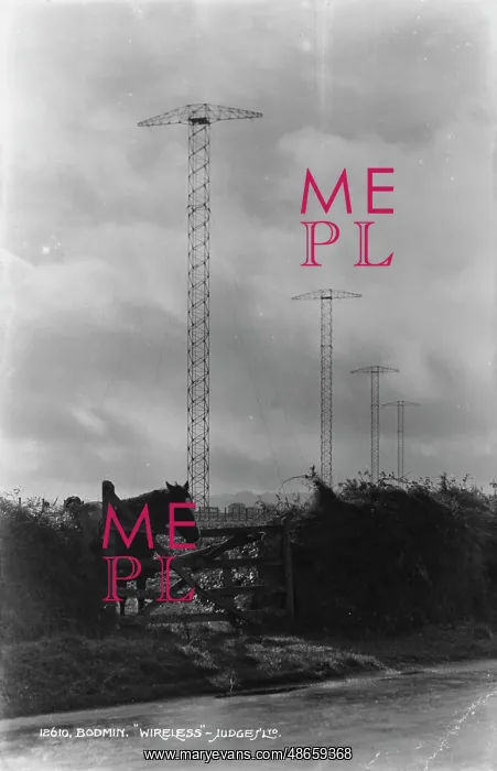 : Horse by the Wireless Towers : Horse by the Wireless Towers