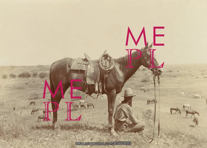 : The Horse Wrangler, by Erwin E. Smith, 1910 : The Horse Wrangler, by Erwin E. Smith, 1910