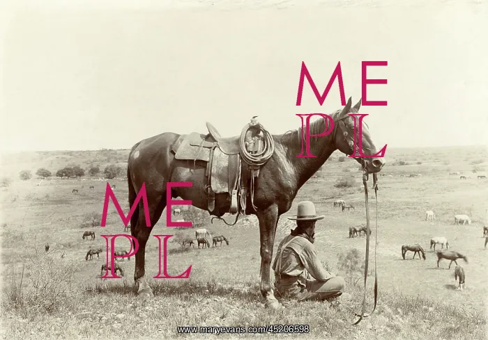 : The Horse Wrangler, photograph by Erwin ? : The Horse Wrangler, photograph by Erwin ?