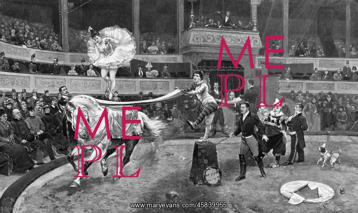  : Horseback dancer at a circus