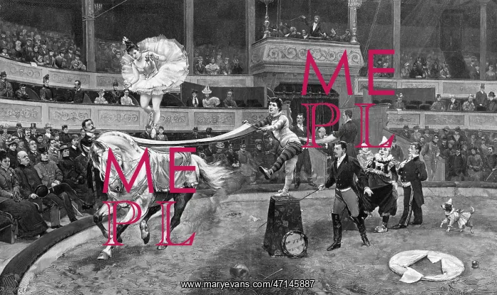  : Horseback dancer at a circus