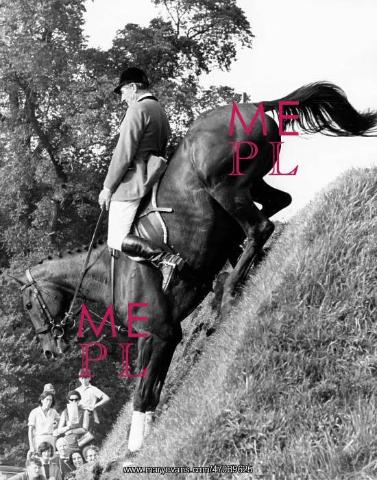 : Horseback Rider Ted Williams : Horseback Rider Ted Williams