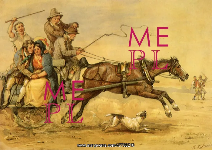  : Horsecart Ride