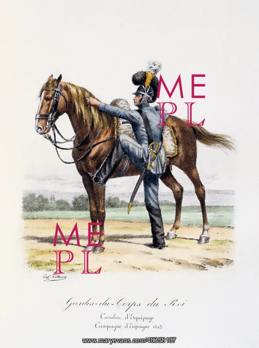 : Horseman of the Spanish regiment of the Royal : Horseman of the Spanish regiment of the Royal