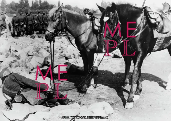 : Horsemen during the Western campaign, 1940 : Horsemen during the Western campaign, 1940