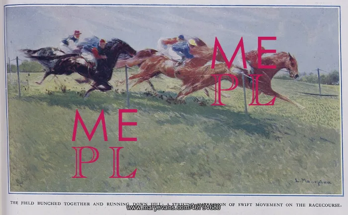 : Horserace Action : Horserace Action