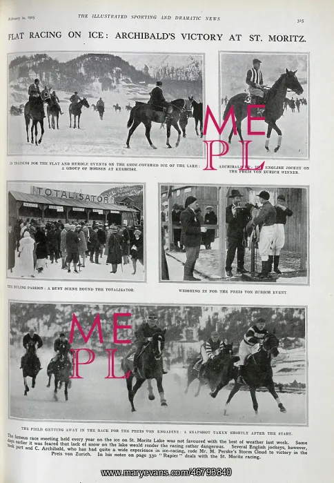 : Horseracing on Ice : Horseracing on Ice