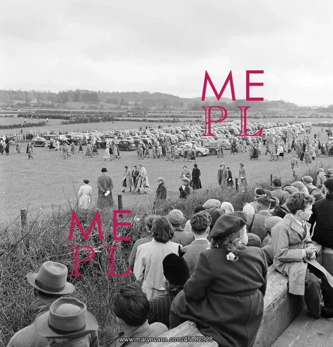 : Horseracing meet : Horseracing meet