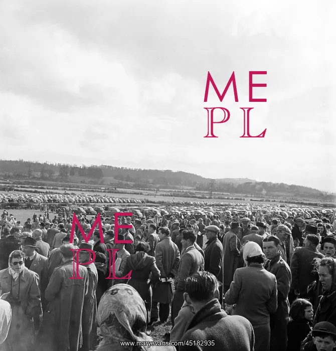 : Horseracing meet : Horseracing meet