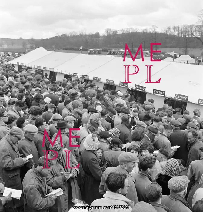 : Horseracing meet : Horseracing meet