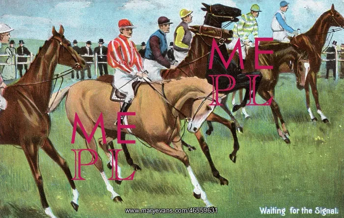 : Horseracing - Waiting for the Starter's Signal : Horseracing - Waiting for the Starter's Signal