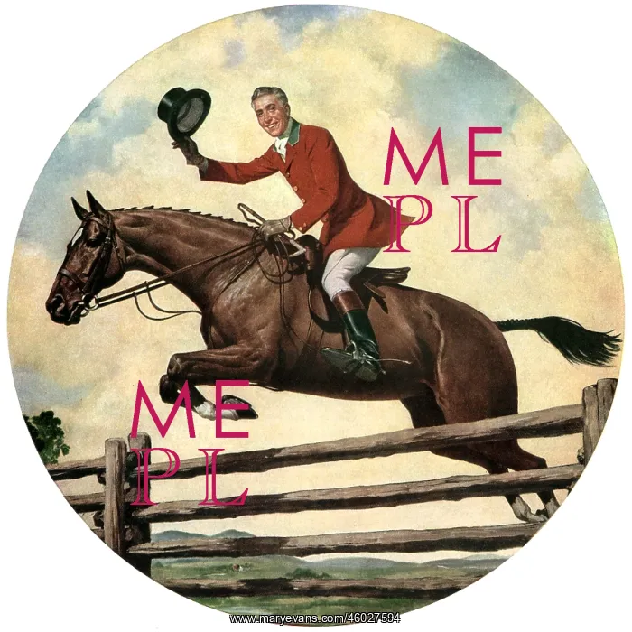 : Horseriding, jumping a fence : Horseriding, jumping a fence