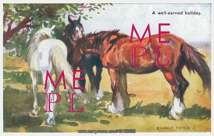 : Three Horses
