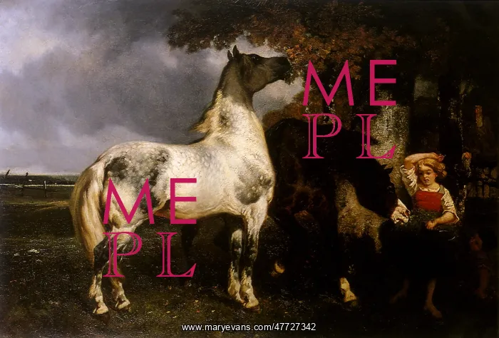  : Horses