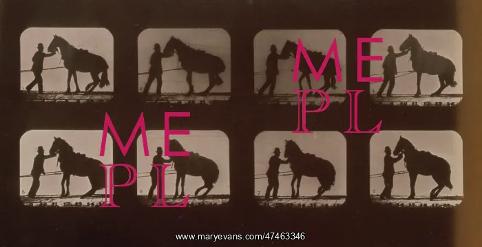 : Horses. Backing : Horses. Backing