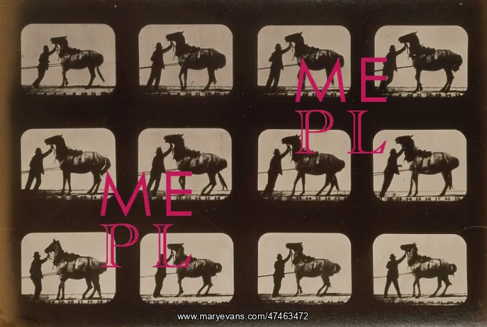 : Horses. Backing : Horses. Backing