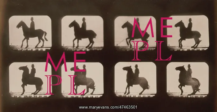 : Horses. Backing : Horses. Backing