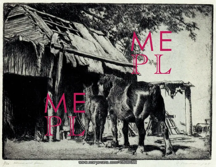 : Horses and Barn : Horses and Barn
