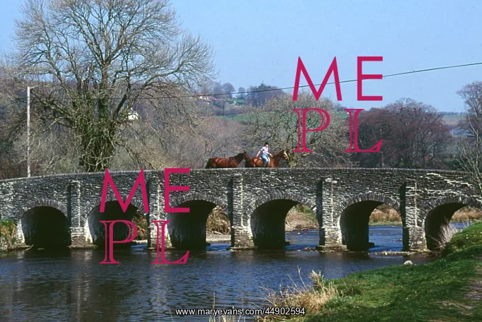 : Horses on a bridge, Withypool, Somerset : Horses on a bridge, Withypool, Somerset