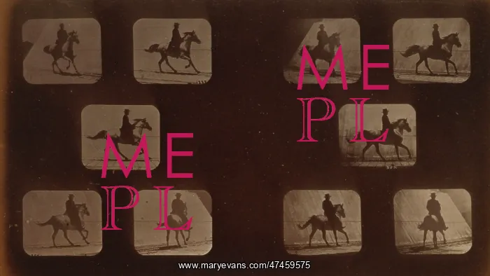 : Horses. Cantering : Horses. Cantering