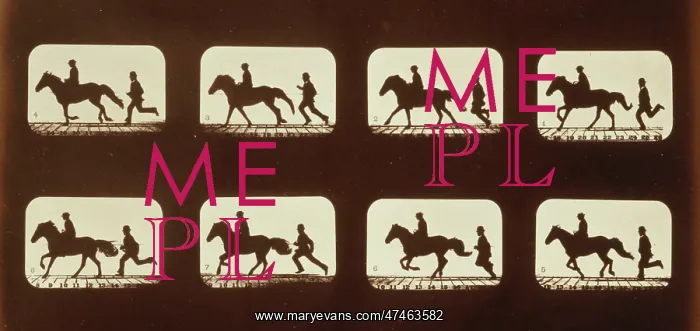 : Horses. Cantering : Horses. Cantering