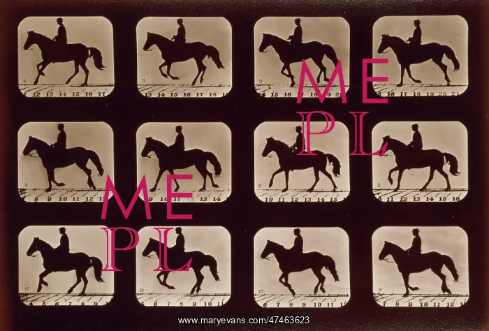 : Horses. Cantering : Horses. Cantering