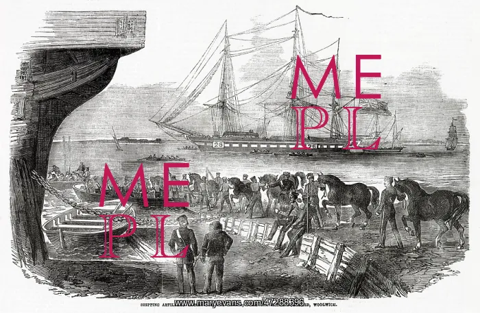 : HORSES FOR THE CRIMEA : HORSES FOR THE CRIMEA