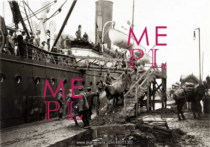 : Horses disembarking from a ship : Horses disembarking from a ship