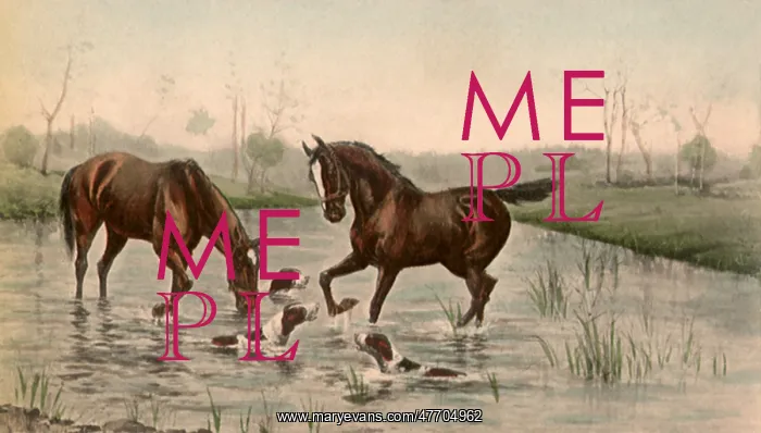  : Horses and Dogs