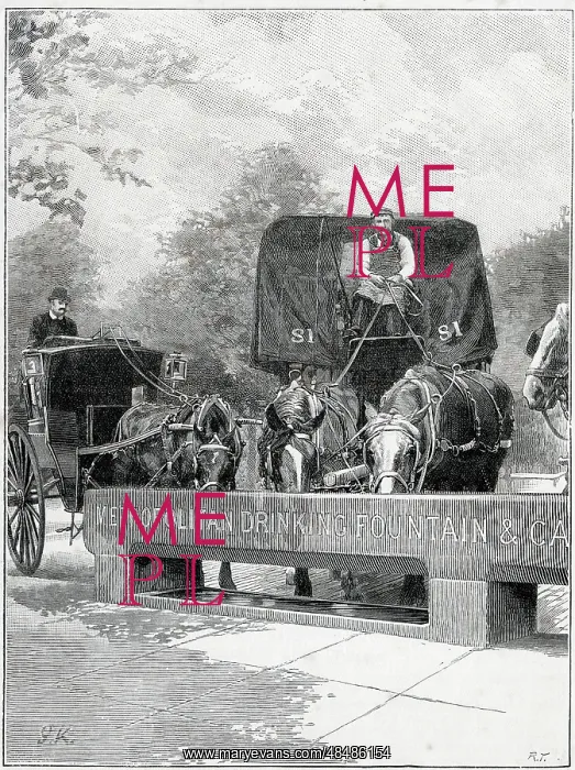 : Horses drinking at a Metropolitan Drinking Trough : Horses drinking at a Metropolitan Drinking Trough
