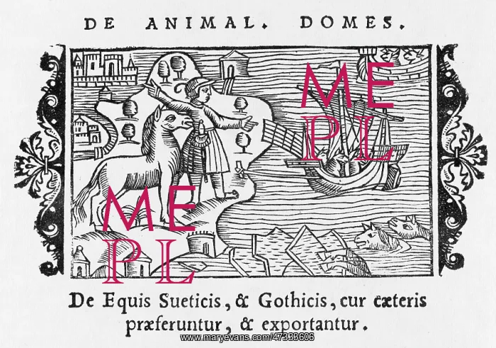 : HORSES EXPORTED 1555 : HORSES EXPORTED 1555