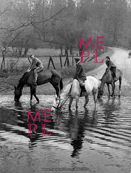: HORSES AT A FORD : HORSES AT A FORD