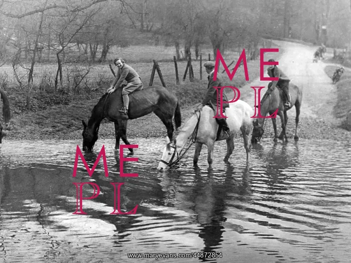 : HORSES AT A FORD : HORSES AT A FORD
