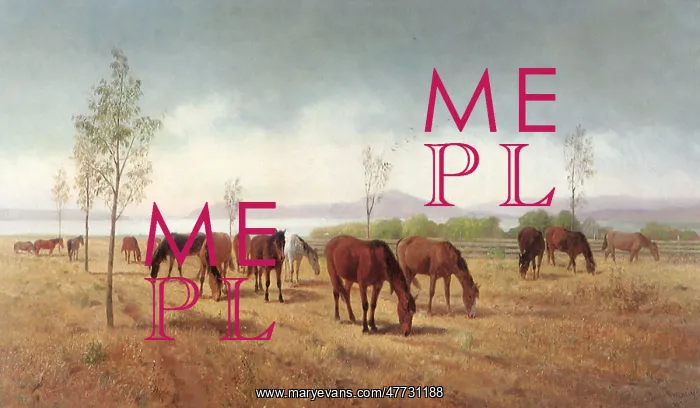  : Horses Grazing, Berkeley, California