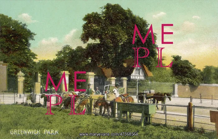 : HORSES AT GREENWICH PARK : HORSES AT GREENWICH PARK