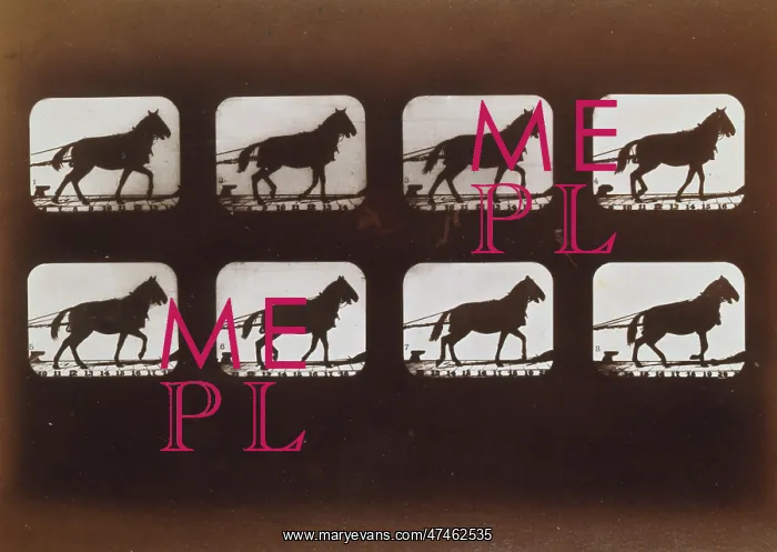  : Horses. Hauling