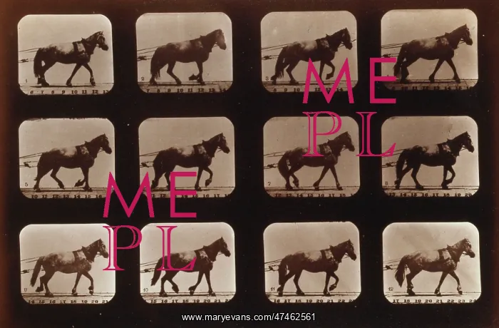 : Horses. Hauling : Horses. Hauling