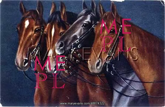  : FOUR HORSES HEADS C1910