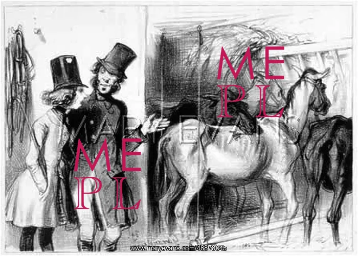 : HORSES FOR HIRE : HORSES FOR HIRE