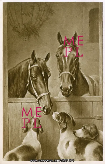 : Two Horses and three hounds : Two Horses and three hounds