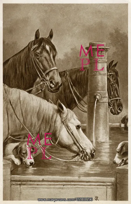  : Horses and hounds drink from a trough